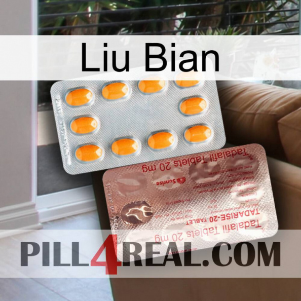 Liu Bian new13.jpg